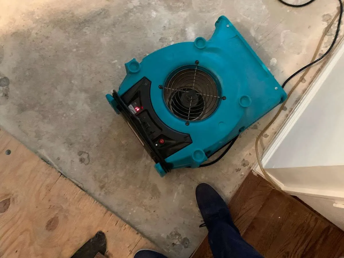 Air mover drying subfloor during Commercial Water Damage Restoration in Langley Park
