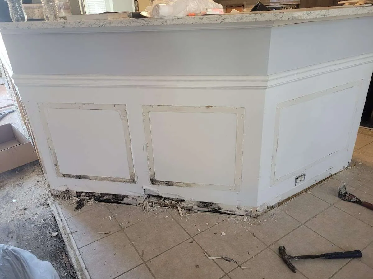 Water damage and mold on kitchen during Sewage Cleanup & Sanitation in Langley Park